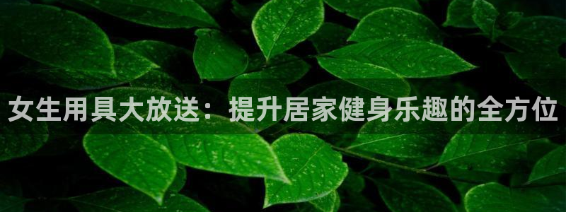 征途国际招商电话号码查询是多少:女生用具大放送:提升居家健身