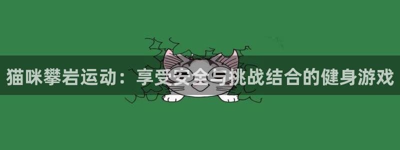 征途国际:猫咪攀岩运动:享受安全与挑战结合的健身游戏