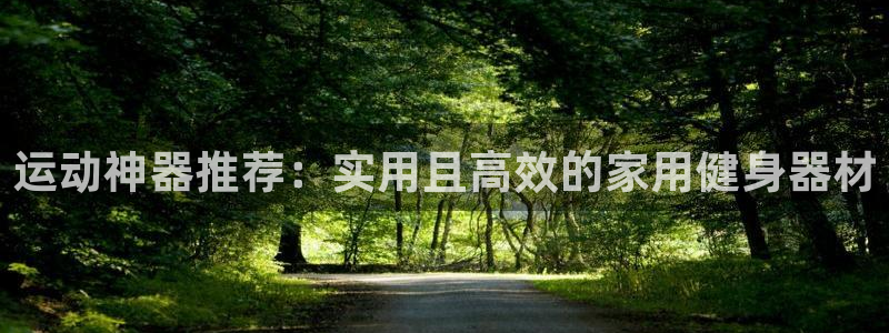 征途国际平台APP:运动神器推荐:实用且高效的家用健身器材